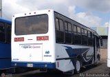 Transporte Virgen del Carmen 28