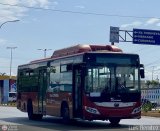 Trans Sucre 5343