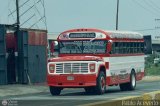 Transporte Palo Negro La Morita 2 026 por Pablo Acevedo