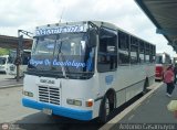 L�nea Altagracia 23 por Antonio Casamayor