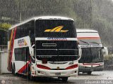 Aerorutas de Venezuela 0510 por Eduardo Mej�as