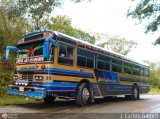 Particular o Transporte de Personal 11 Encava Culebra Ciega Blue Bird Diesel 01