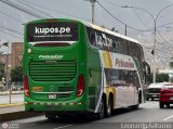 Expreso Internacional Palomino 8013 por Leonardo Saturno