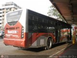 Bus CCS 1244 por Alfredo Montes de Oca
