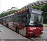 Bus CCS 0106
