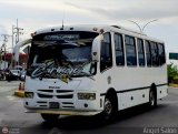 Colectivos El Vig�a 16 por �ngel Sal�n