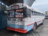 U.C. Campo Mara 13 Thomas Built Buses Saf-T-Liner ER International 3000RE