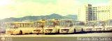 Autobuses Expresos Catia La Mar Flota, por Ricardo Dos Santos
