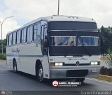 Ejecutivos Boga 14