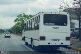 L�nea Altagracia 57
