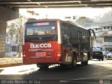 Bus CCS 1413, por Alfredo Montes de Oca