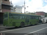 Metrobus Caracas 246