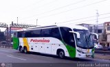 Expreso Internacional Palomino 671