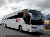Expresos Pegamar 1017 por �ngel Sal�n