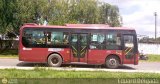 Bus Yaracuy BY-118 Yutong ZK6852HG Yutong Integral