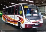Buses BUPESA 288 Neobus Thunder + Mercedes-Benz LO-916 BlueTEC 5