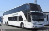 Expresos Flamingo 0071
