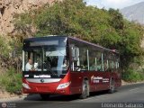 Bus Mrida 33