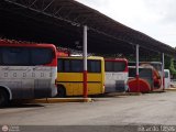Garajes Paradas y Terminales Carupano, por Ricardo Ugas