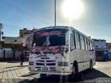 Ejecutivos Kova 082