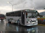 Transporte El Esfuerzo 31, por Alvin Rond�n