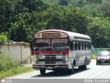 Autobuses de Tinaquillo 16