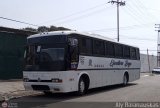 Ejecutivos Boga 12