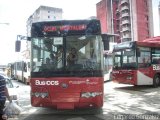 Bus CCS 1026 por Edgardo Gonzlez