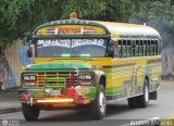 Transporte Palo Negro La Morita 2 107