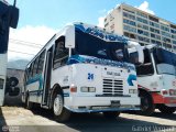 A.C. de Transporte N�mero Uno R.L. 024