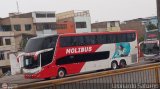 Transportes y Servicios Molibus (Perú) 766, por Leonardo Saturno