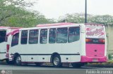 Transporte Privado Escuder�a Magallanes 01