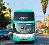 Tours Angel Divino S.A.C. (Per) 955, por Leonardo Saturno