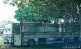 En Chiveras Abandonados Recuperaci�n  por Pablo Acevedo